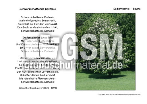 Schwarzschattende Kastanie-Meyer.pdf